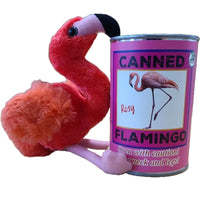 Rosy The Canned Flamingo!